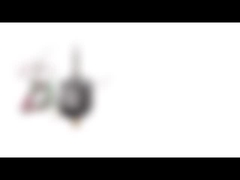 Moteur pas à pas de la NEMA 8 de la haute précision 20mm avec la vis sans fin/écrou manuel