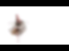 moteur pas à pas 5VDC 10BY25 P.M. Mini Stepping Motor de micro de 10mm