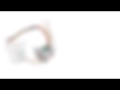 Phase 2 bipolaire du moteur pas à pas 20mm de micro du lecteur 24V avec le Metal Gear