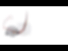 Phase élevée à faible bruit du moteur pas à pas SM35-048L 35mm 12v 2 de couple